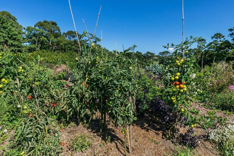 Photo of property in 882 South Head Road, South Head, Helensville, 0874