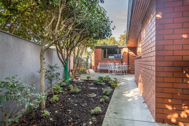 Photo of property in 7 Molesworth Place, Somerfield, Christchurch, 8024