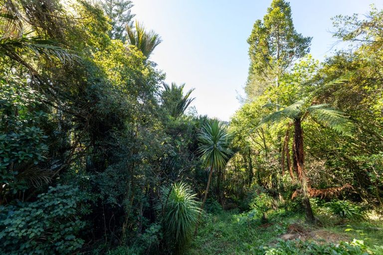 Photo of property in 14 Opou Road, Titirangi, Auckland, 0604