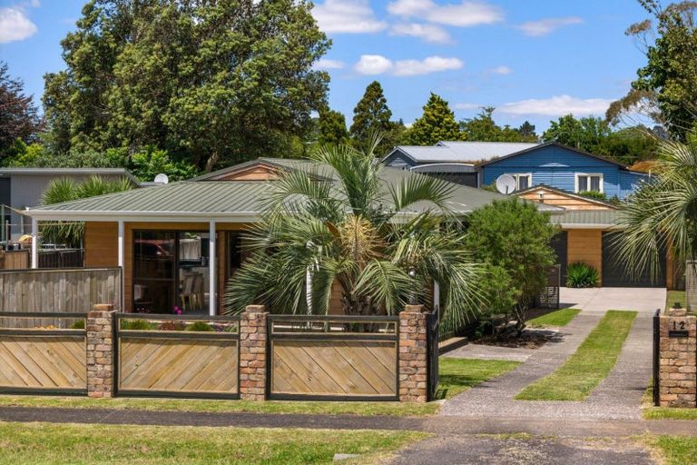 Photo of property in 12 Wenlock Street, Waihi, 3610