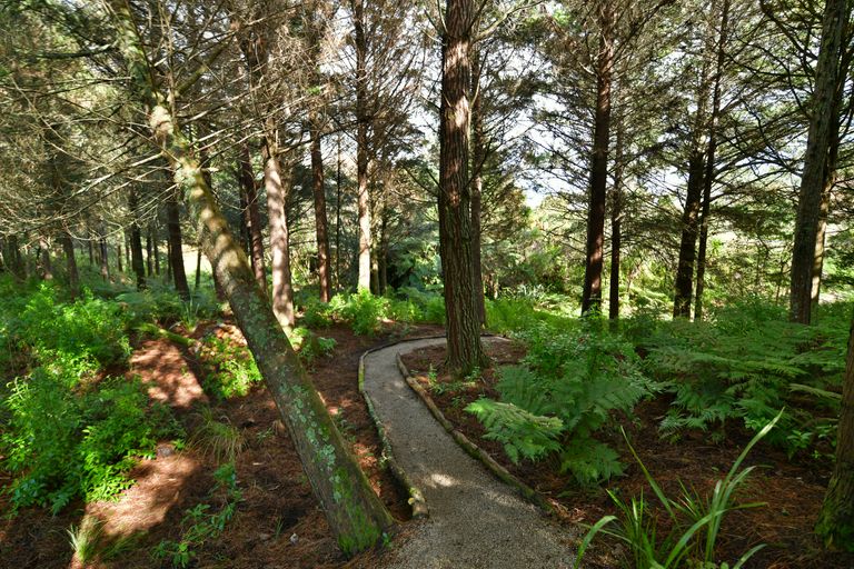 Photo of property in 56 Monowai Road, Wainui, Silverdale, 0994