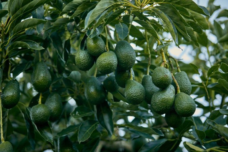 Photo of property in 6 Woodland Road, Johnsonville, Wellington, 6037