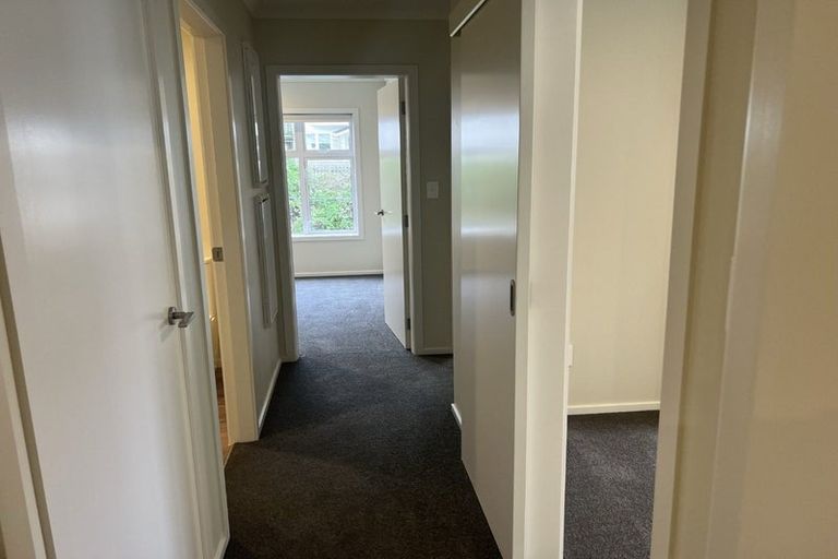 Photo of property in 31 Adams Terrace, Aro Valley, Wellington, 6021