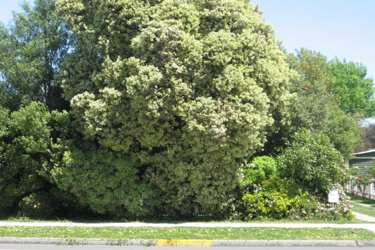 Photo of property in 610 Aberdeen Road, Te Hapara, Gisborne, 4010