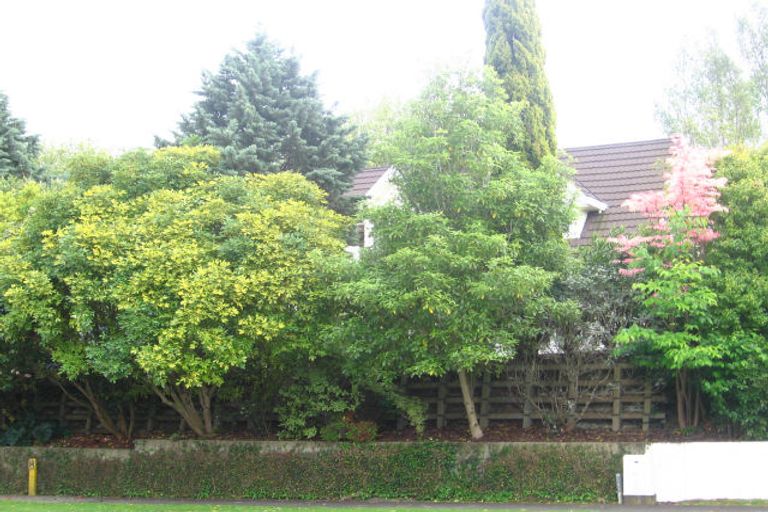 Photo of property in 29 Stirling Drive, Morrinsville, 3300