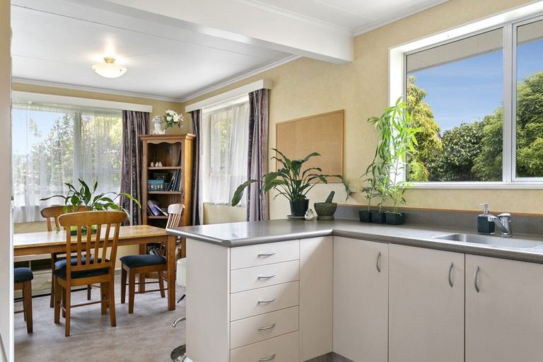 Photo of property in 47 Richmond Avenue, Richmond Heights, Taupo, 3330