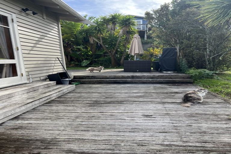 Photo of property in 72 Carlisle Road, Browns Bay, Auckland, 0632