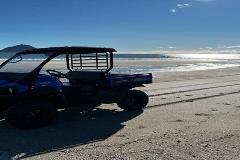 Photo of property in 2 Pacific Parade, Coastlands, Whakatane, 3120