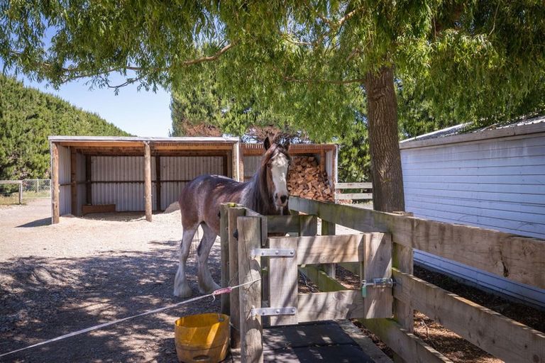 Photo of property in 756 Poyntzs Road, Eyrewell, Rangiora, 7476