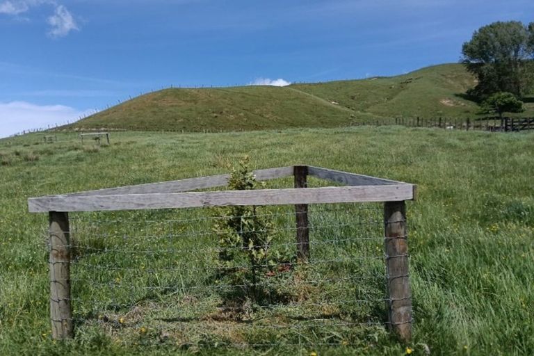 Photo of property in 1839 Tiniroto Road, Waerengaokuri, Manutuke, 4072