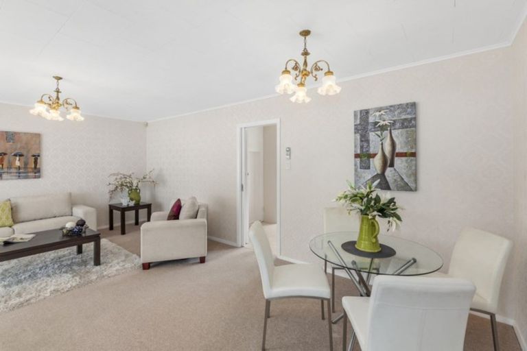 Photo of property in 52 Pretoria Street, Hutt Central, Lower Hutt, 5010