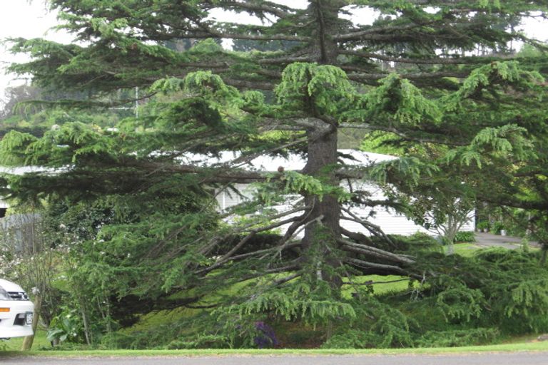 Photo of property in 12 Kingsley Street, Whataupoko, Gisborne, 4010