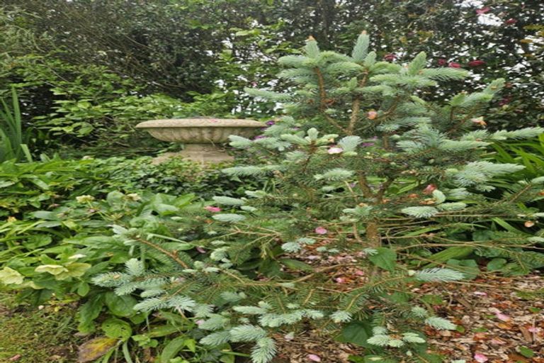 Photo of property in 558 Harwoods Road, Tapapa, Tirau, 3485