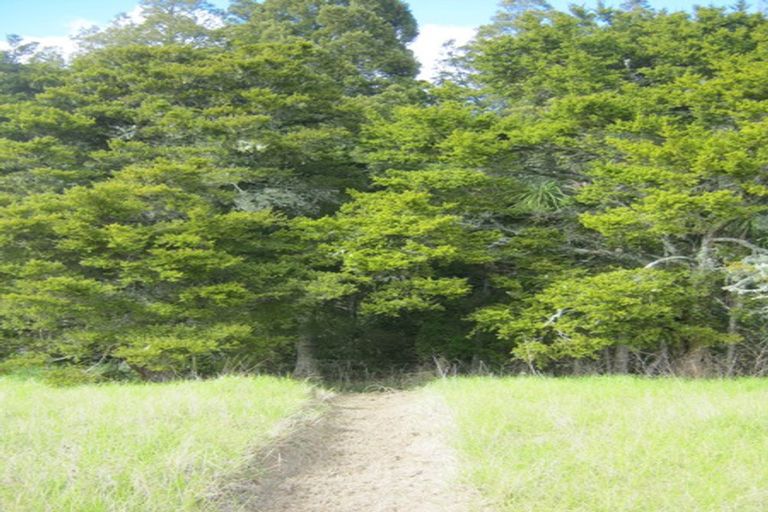 Photo of property in 237 Pahi Road, Pahi, Paparoa, 0571