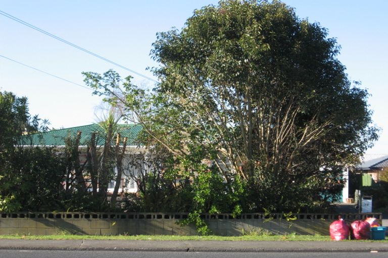 Photo of property in 77 Clevedon Road, Papakura, 2110