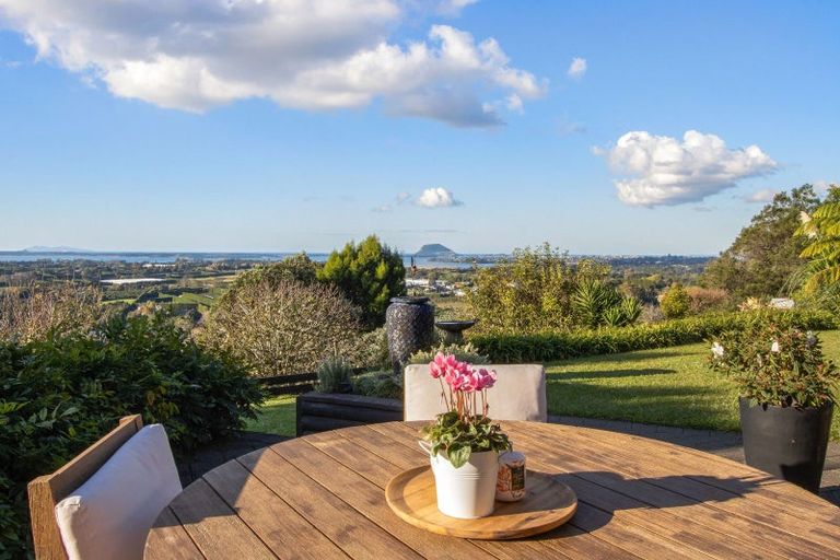 Photo of property in 186b Minden Road, Minden, Tauranga, 3176