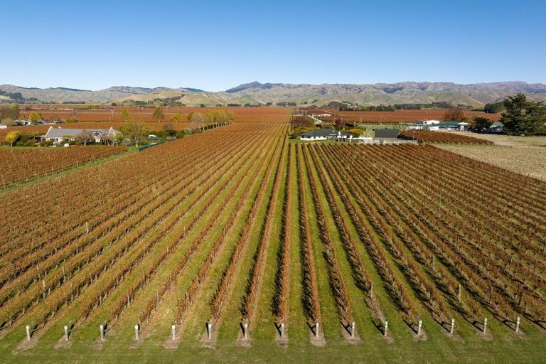 Photo of property in 376 New Renwick Road, Fairhall, Blenheim, 7272