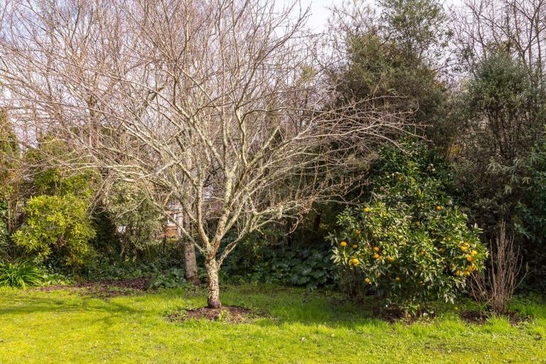 Photo of property in 2 Wood Street, Greytown, 5712