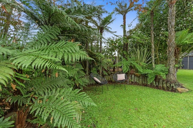 Photo of property in 405 Dey Street, Hamilton East, Hamilton, 3216