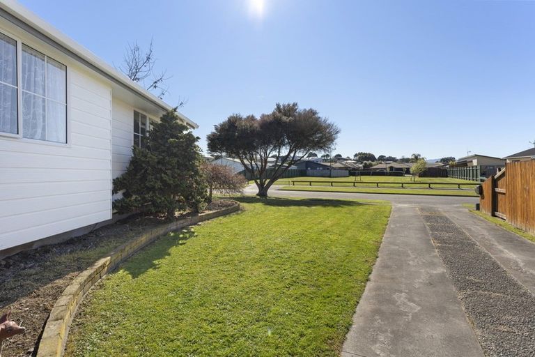 Photo of property in 20 Peppertree Glade, Kelvin Grove, Palmerston North, 4414