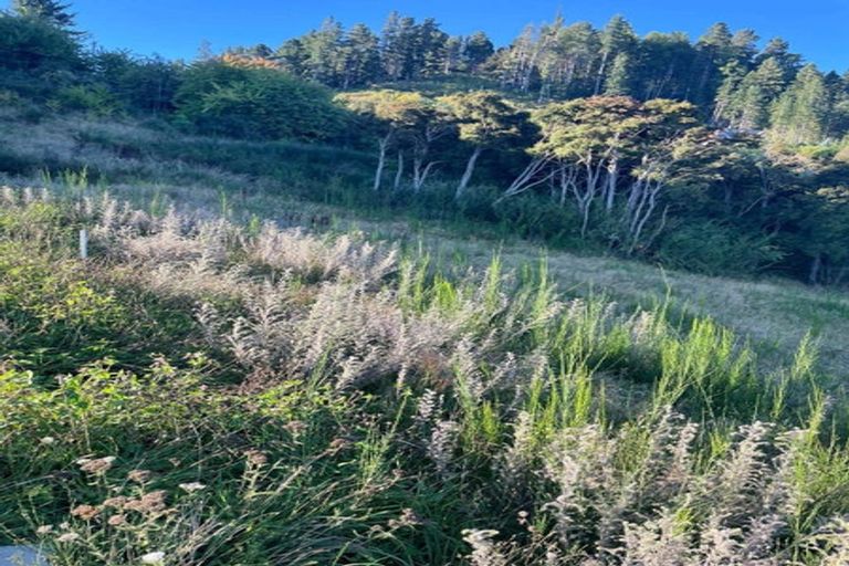 Photo of property in 6 Kereru Rise, Hanmer Springs, 7334