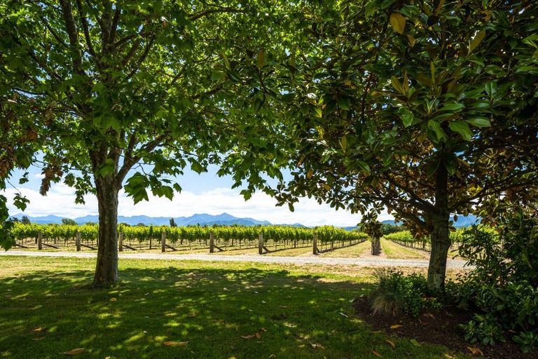 Photo of property in 174 Dog Point Road, Hawkesbury, Blenheim, 7272