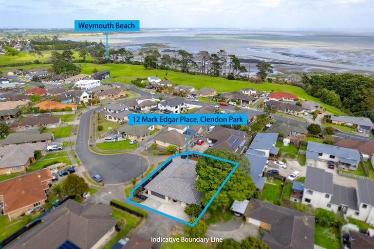 Photo of property in 12 Mark Edgar Place, Clendon Park, Auckland, 2103