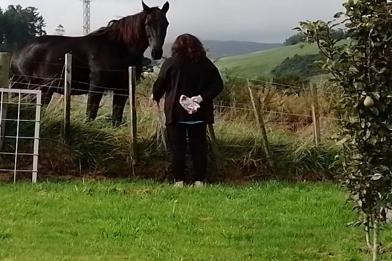 Photo of property in 5060 State Highway 1, Kinleith, Tokoroa, 3491