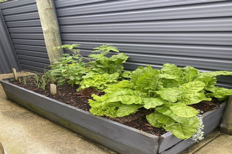 Photo of property in 28c Talbot Street, Whanganui East, Whanganui, 4500