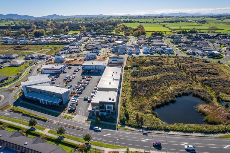 Photo of property in 40 Mccorquindale Drive, Flagstaff, Hamilton, 3210