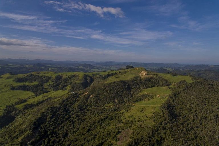 Photo of property in 595 Rangihau Road, Coroglen, Whitianga, 3591