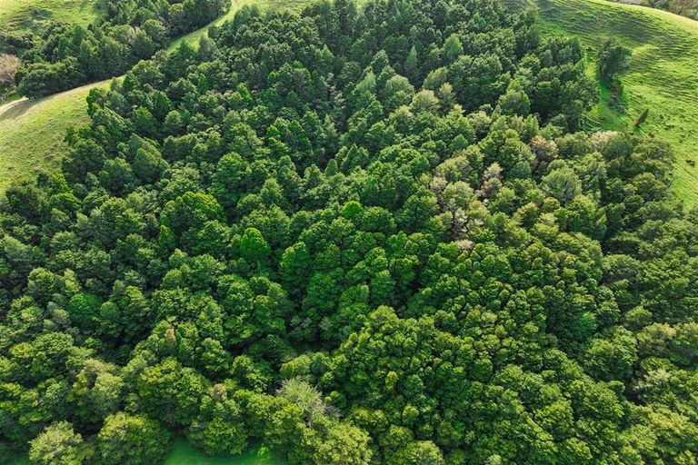 Photo of property in 435 Wairere Road, Paparoa, 0571