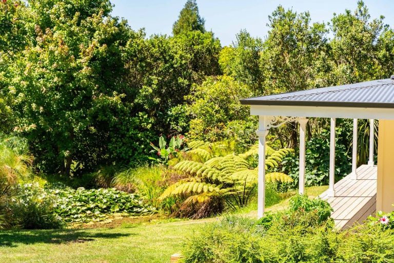 Photo of property in 384 Tara Road, Mangawhai, Kaiwaka, 0573