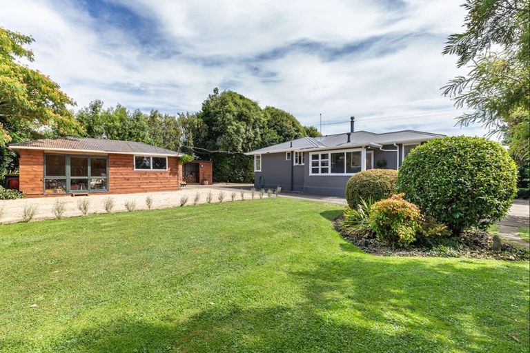 Photo of property in 51 Laward Road, Shannon, Palmerston North, 4474