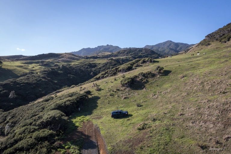 Photo of property in 1517 Whaanga Road, Raglan, 3296