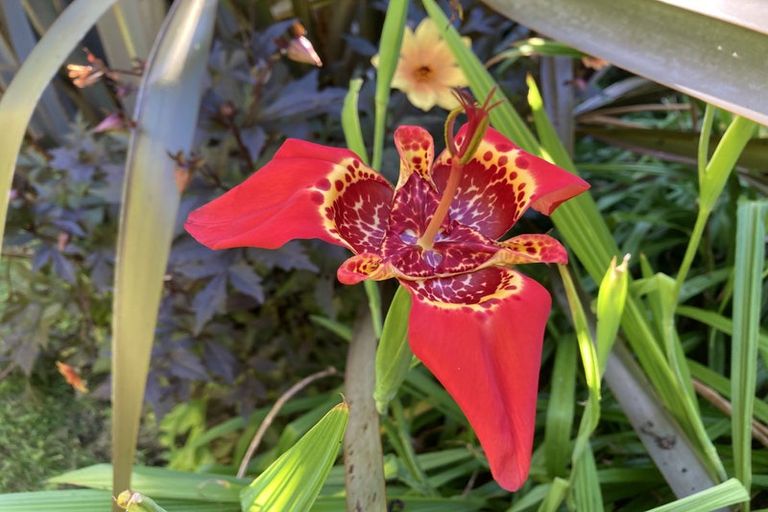 Photo of property in 125 Matangi Road, Matangi, Hamilton, 3284