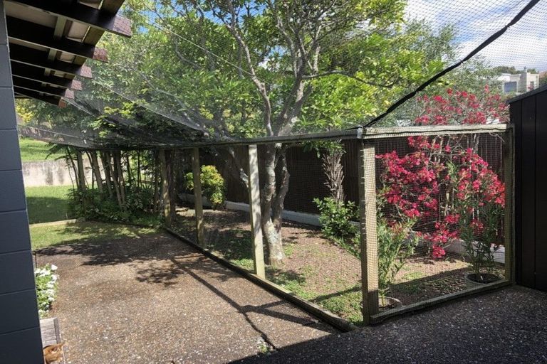 Photo of property in 57 Parr Terrace, Castor Bay, Auckland, 0620