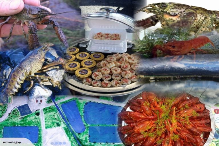 Photo of property in 90 Mill Road, Kaikoura Flat, Kaikoura, 7300