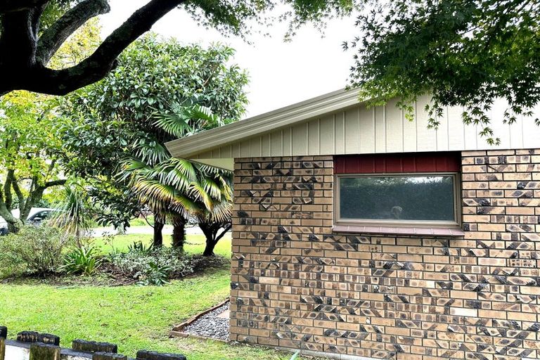 Photo of property in 12a Hastings Street, Te Puke, 3119