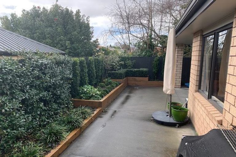 Photo of property in 60c Macfarlane Street, Hamilton East, Hamilton, 3216