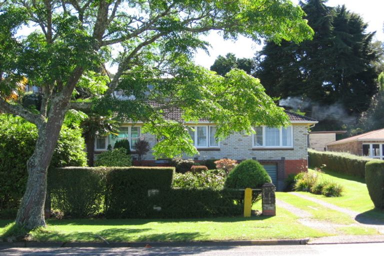 Photo of property in 105 Arapuni Street, Putaruru, 3411