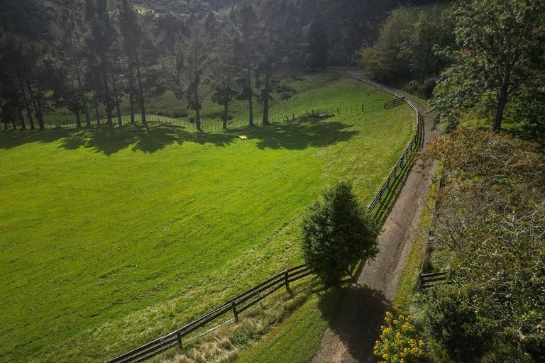 Photo of property in 555 Mill Creek Road, Kaimarama, Whitianga, 3591