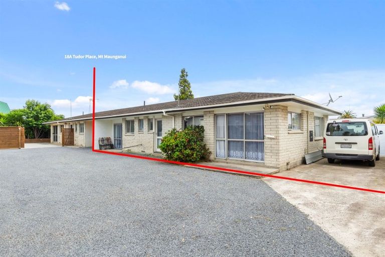 Photo of property in 18a Tudor Place, Mount Maunganui, 3116