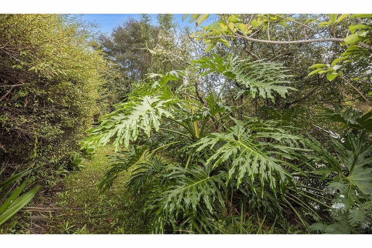 Photo of property in 56 Colville Road, Dargaville, 0310