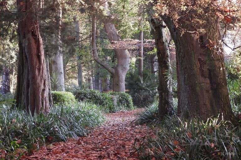 Photo of property in Ashfield, 410 Orari Station Road, Geraldine, 7992