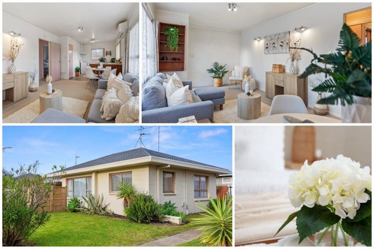 Photo of property in 48 Concord Avenue, Mount Maunganui, 3116