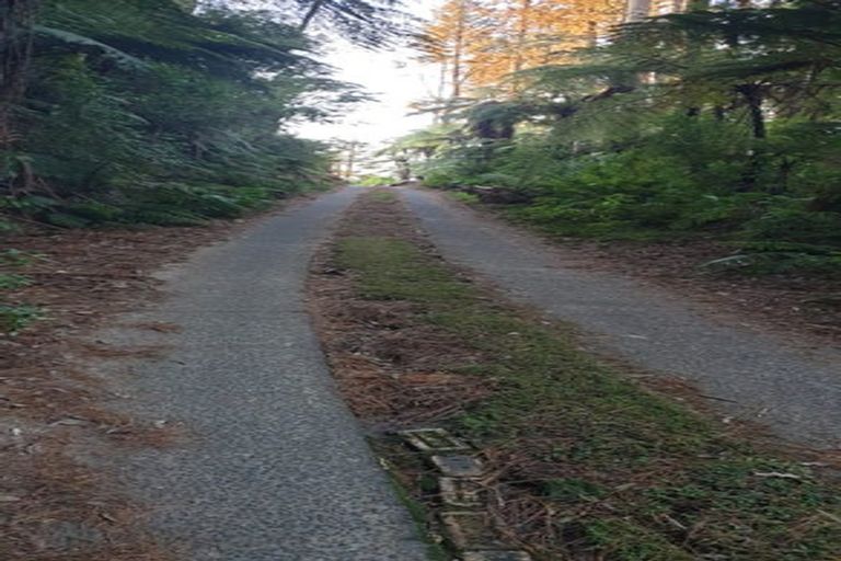 Photo of property in 1226a Pyes Pa Road, Pyes Pa, Tauranga, 3173