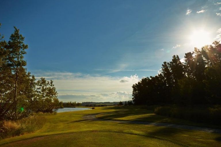 Photo of property in 623 Coleridge Road, Windwhistle, Hororata, 7572