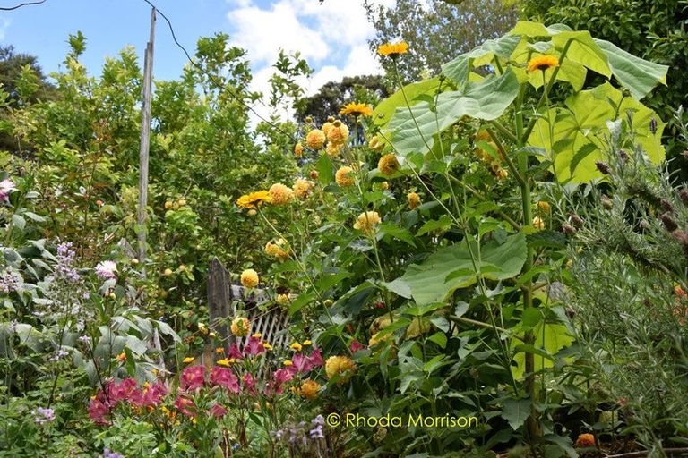 Photo of property in 318 Franklin Road, Paparoa, 0571