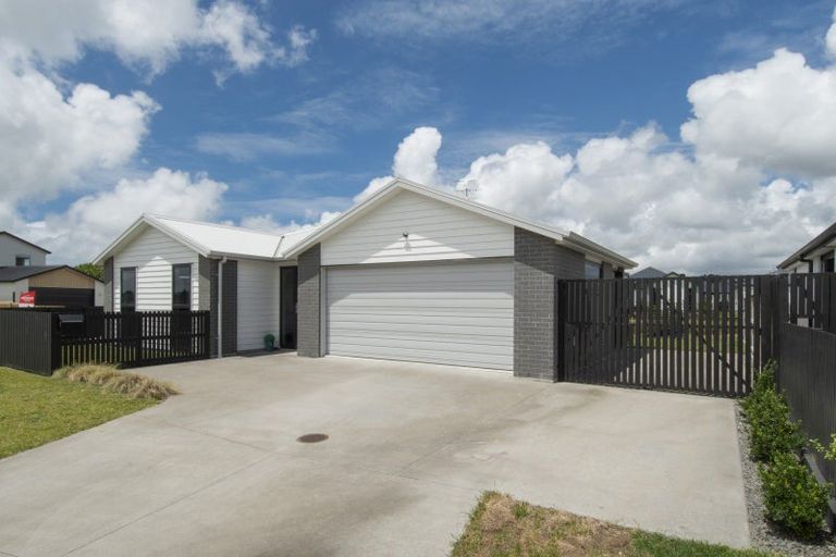 Photo of property in 42 Hinaki Street, Poike, Tauranga, 3112